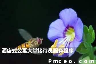 酒店式公寓大堂接待员服务程序 酒店式公寓大堂接待员服务程序