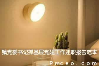 镇党委书记抓基层党建工作述职报告范本 镇党委书记抓基层党建工作述职报告范本