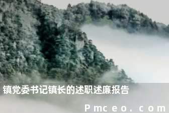 镇党委书记镇长的述职述廉报告 镇党委书记镇长的述职述廉报告