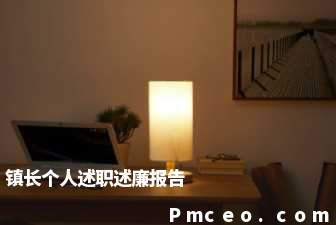 镇长个人述职述廉报告 镇长个人述职述廉报告