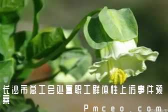 长沙市总工会处置职工群体性上访事件预案 长沙市总工会处置职工群体性上访事件预案