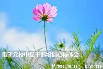 集团党校中层干部培训心得体会 集团党校中层干部培训心得体会