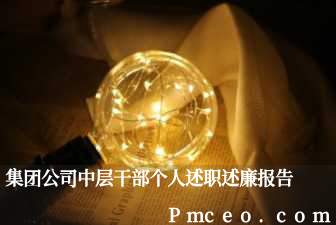 集团公司中层干部个人述职述廉报告 集团公司中层干部个人述职述廉报告
