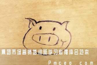 集团市场营销培训班学习心得体会范本 集团市场营销培训班学习心得体会范本