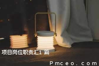 项目岗位职责汇1篇 项目岗位职责汇1篇
