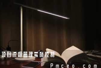 项目流程管理实施控制 项目流程管理实施控制