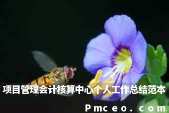 项目管理会计核算中心个人工作总结范本 项目管理会计核算中心个人工作总结范本