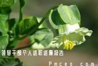 领导干部个人述职述廉报告 领导干部个人述职述廉报告