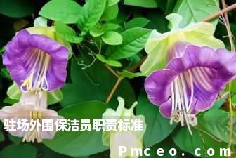 驻场外围保洁员职责标准 驻场外围保洁员职责标准